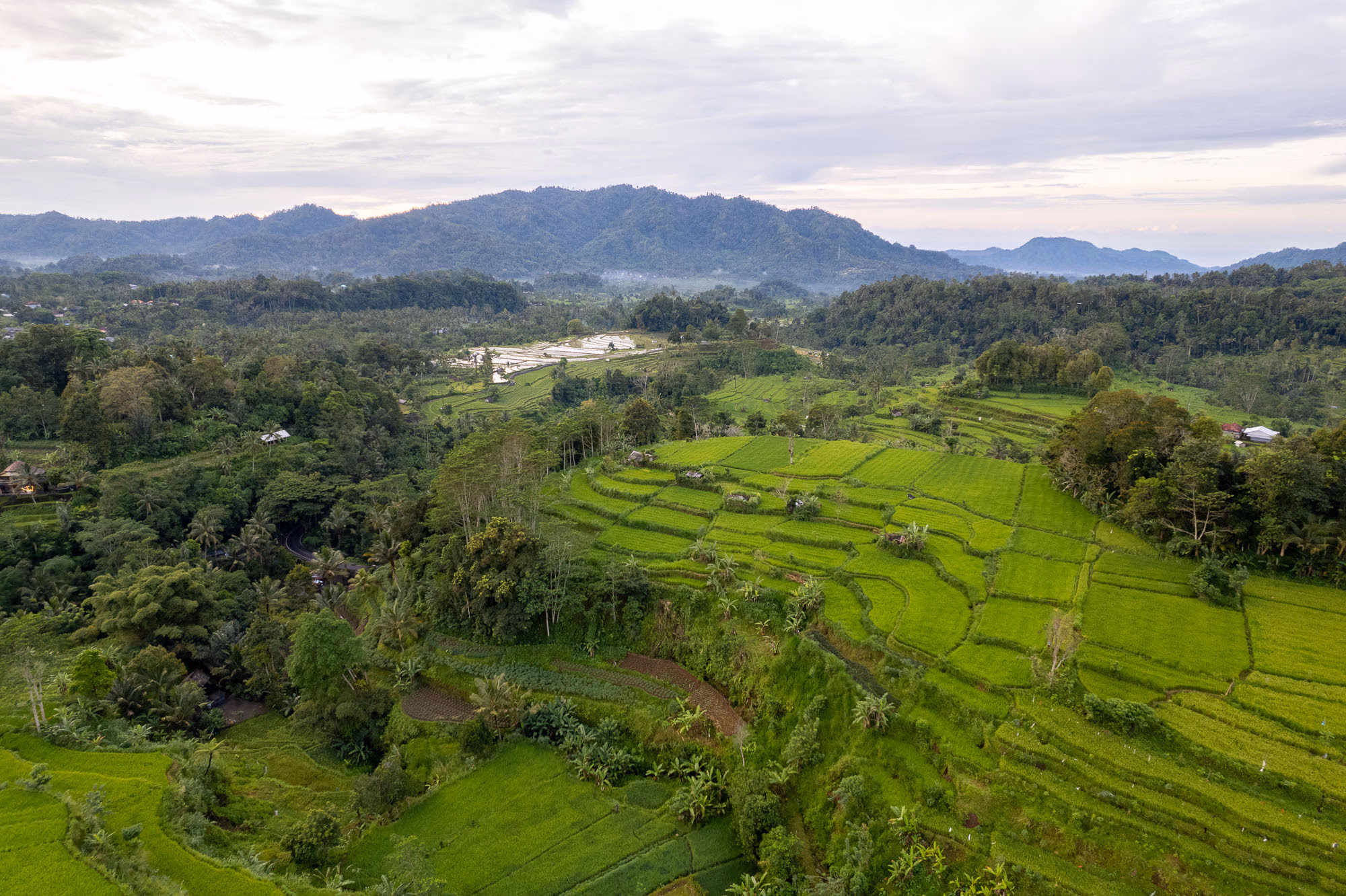 Arrozales de Sidemen - Valle de arrozales con el Monte Agung de fondo en el este de Bali