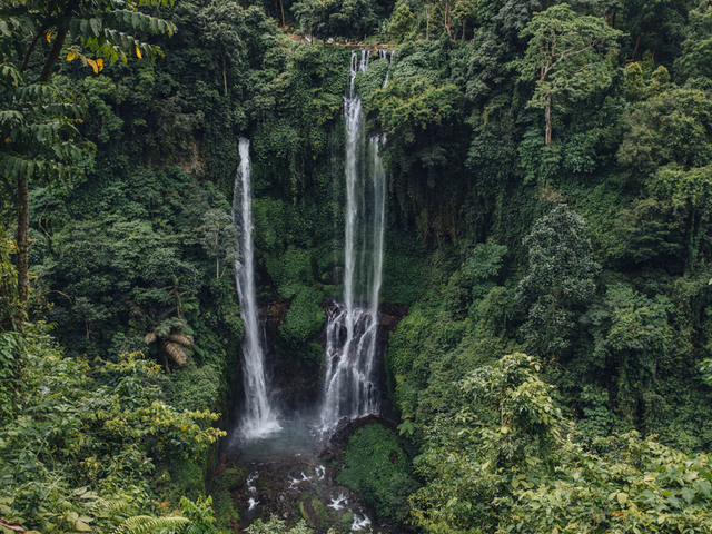 Cascadas de Bali: las 10 más espectaculares con selva tropical