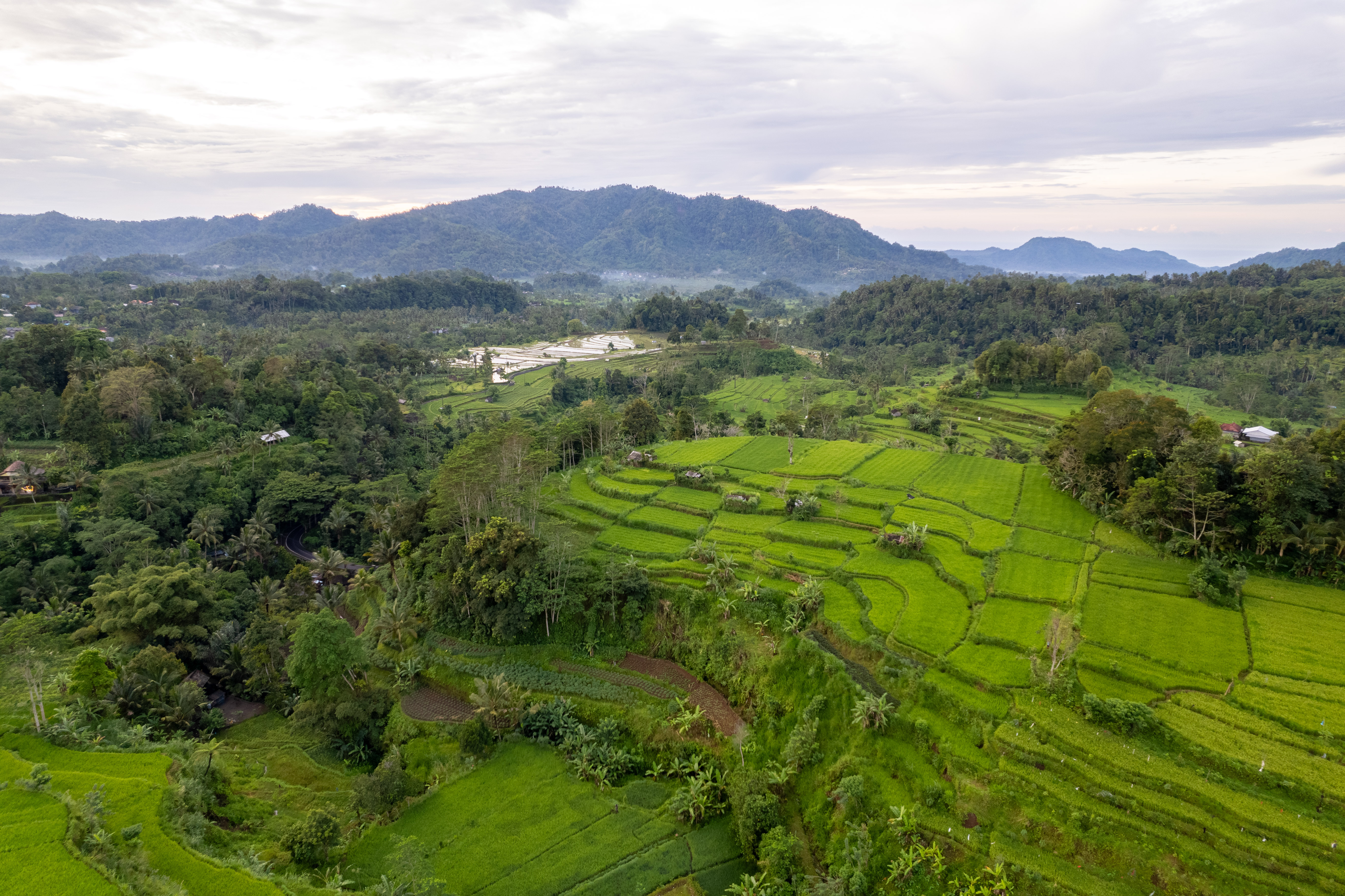 Valle de Sidemen con arrozales en terrazas y el Monte Agung de fondo en el este de Bali