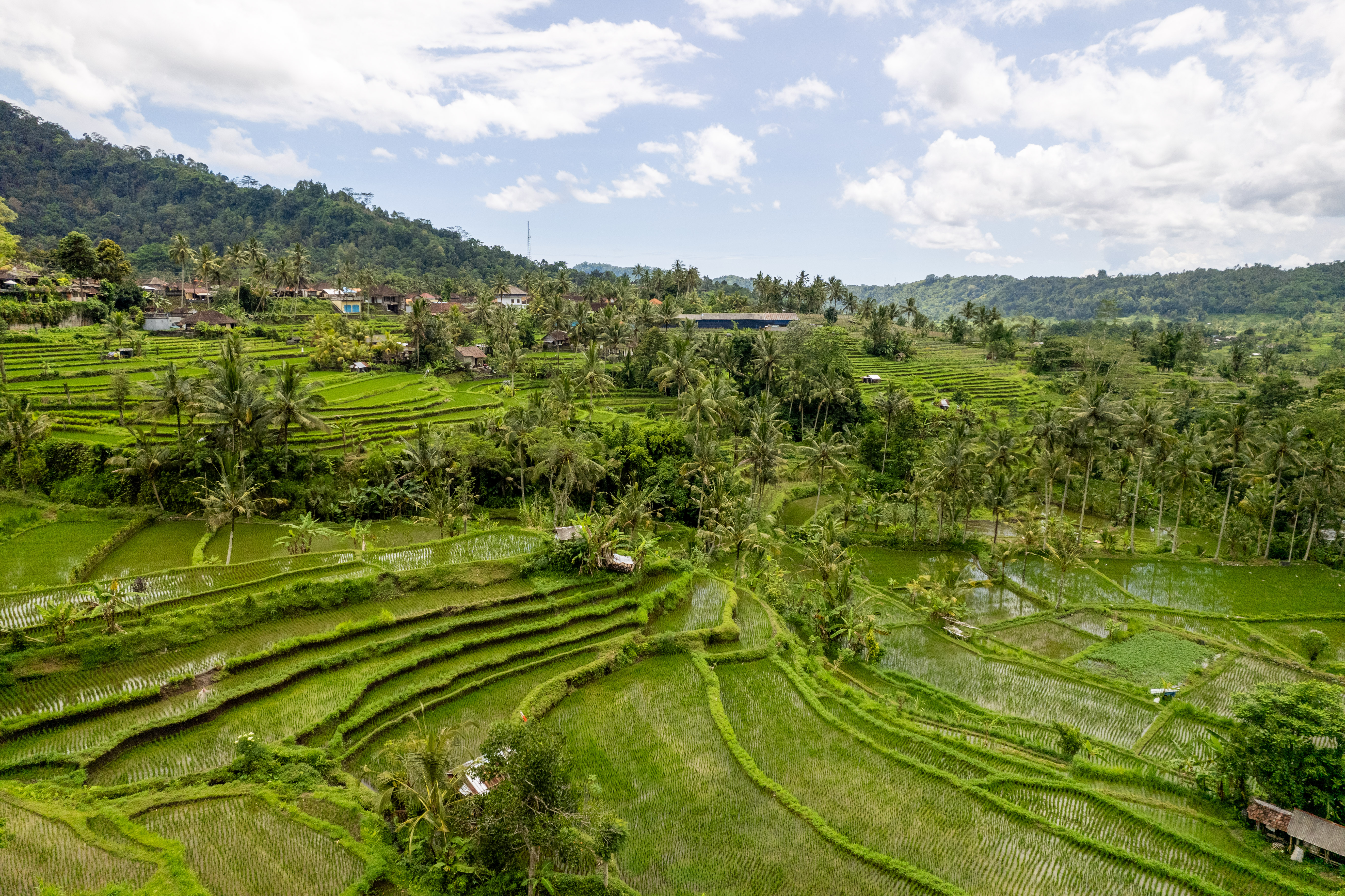 Sidemen Bali: arrozales en terrazas y ambiente auténtico lejos del turismo