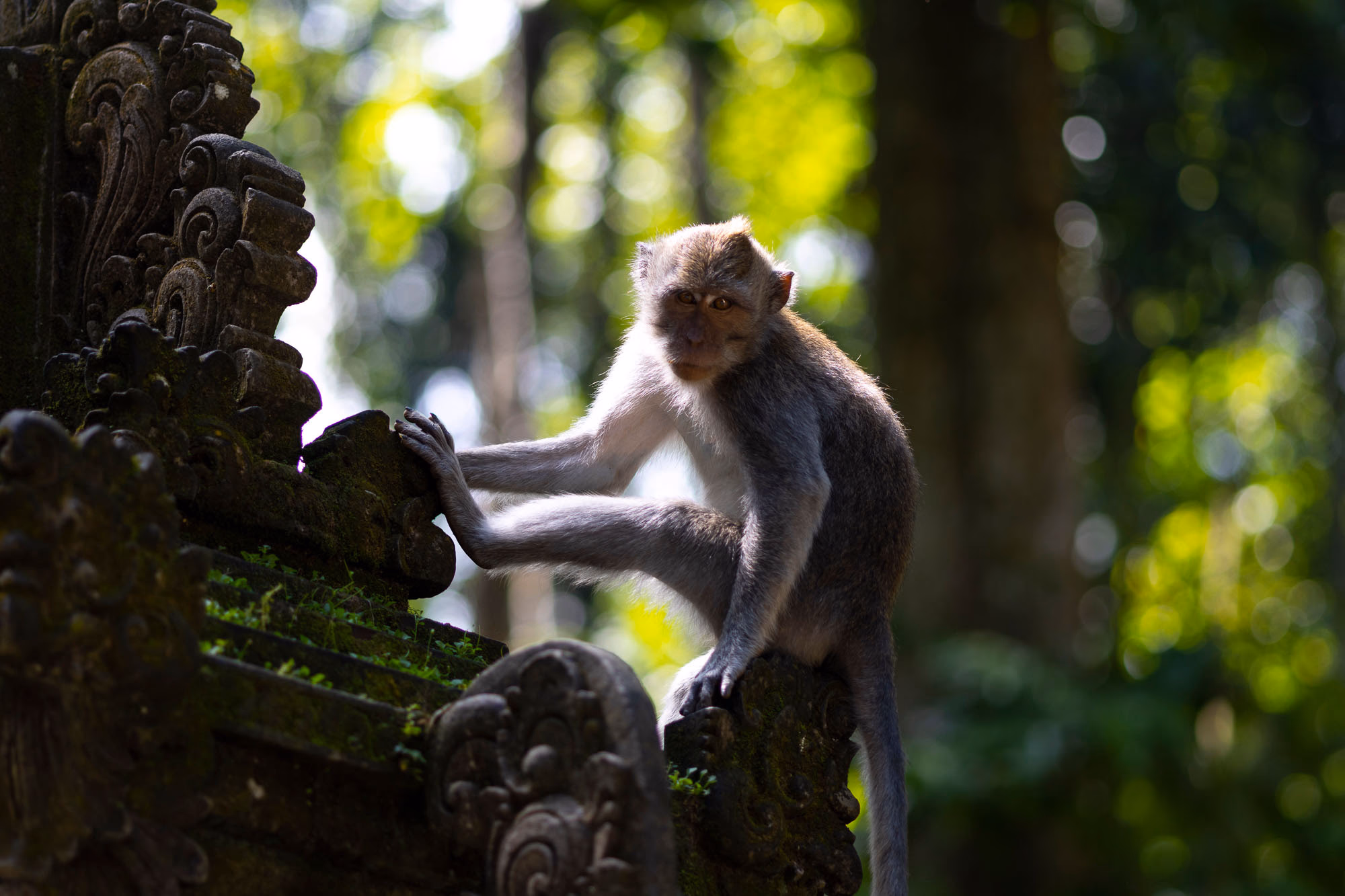 Ubud: guía completa